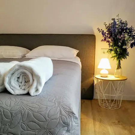 Hill Apartament Διαμέρισμα Κάουνας